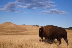 South Dakota